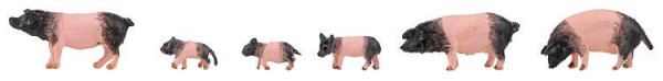 Faller 151916 6 Schwäbisch-Hällische Landschweine