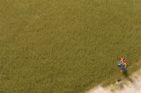 Grasfasern oliv 4,5 mm