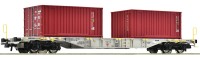 Containertragwagen Sgns, AAE