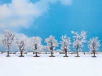 Winterbäume, 8 bis 10 cm hoch